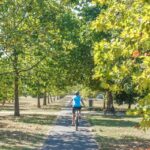 E-Mountain Bike Adventure in the Danube Bend - Challenging Ascent to the Börzsöny Mountains