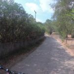 e-MTB Tour - Durrells Farm & Crab Lake [30Km - 18Mi] - Navigating the Corfu Countryside With an e-MTB