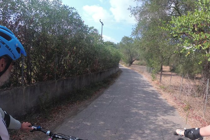 e-MTB Tour - Durrells Farm & Crab Lake [30Km - 18Mi] - Navigating the Corfu Countryside With an e-MTB