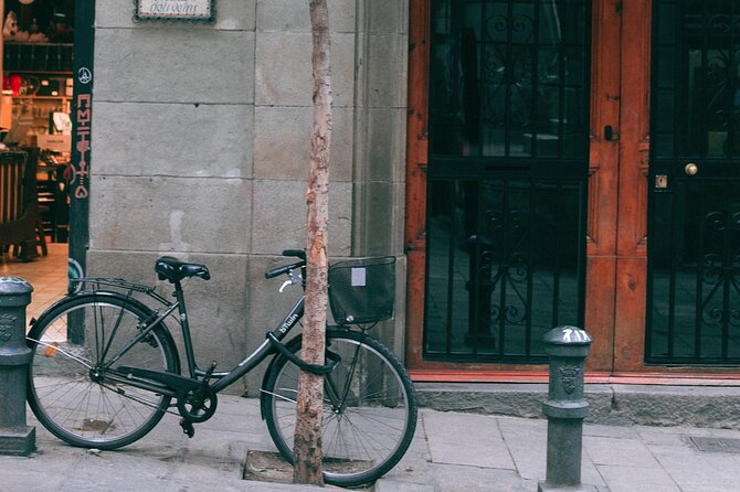 E-Scooter - E-Bike - Quadracycle - Bikes - Kick Scooter - Exploring Luccas Historic Piazzas and Streets