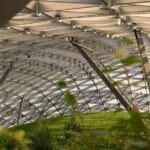 E-ticket to Berlin Botanical Garden with Audio Tour - Exploring the Main Tropical Greenhouse and Greenhouse Highlights