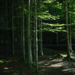 Eagle's Nest-Berchtesgaden-Obersalzberg Private Half Day WWII Historical Tour - Exploring Hitler’s Mountain Retreat at Kehlstein