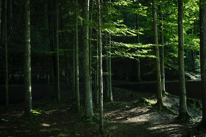 Eagle's Nest-Berchtesgaden-Obersalzberg Private Half Day WWII Historical Tour - Exploring Hitler’s Mountain Retreat at Kehlstein