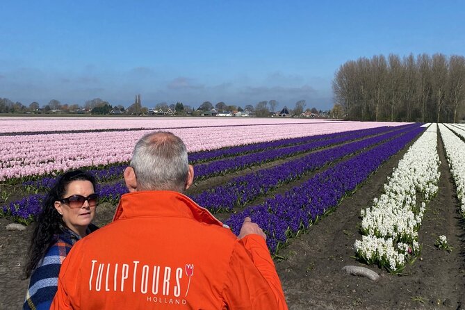 Early Flower fields with Lunch & Windmill Guided Day Tour - Visiting the Iconic Dutch Tulip Fields