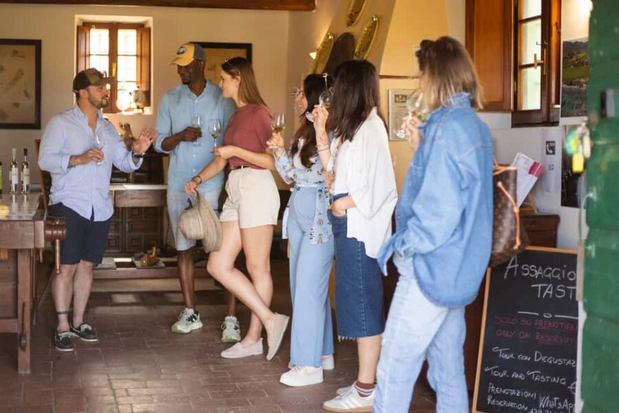 East Elba Island: botanical garden, suggestions, and final tasting - Exploring the Botanical Garden: Native and Cultivated Plants