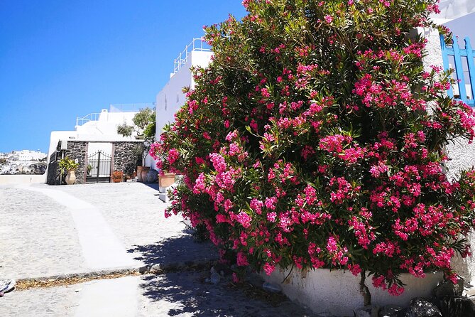 Easy Walks in Santorini Private Half Day Tour - Logistics and Comfort
