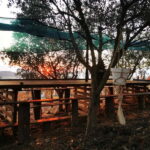 Eat in the vineyards like a Duriense - Starting Point and Transportation Details in Peso da Régua