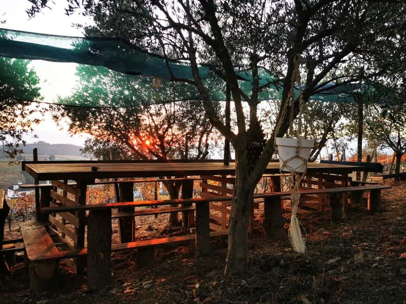 Eat in the vineyards like a Duriense - Starting Point and Transportation Details in Peso da Régua