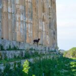Ebike tour, Selinunte - Art and Earthquake Scars at Cretto di Burri