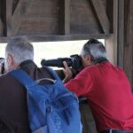 Ebro Delta: Northern Delta Guided Tour with a Local - Learning About Rice Cultivation in the Delta