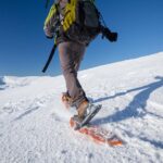 Eco friendly snowshoeing in Scenic Landscape - The Comfort and Uniqueness of the Tesla Model X