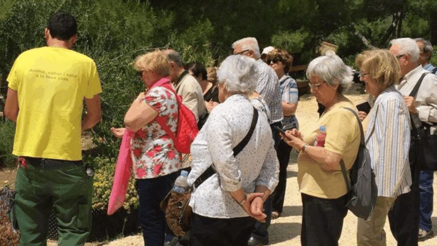 Ecoherbes - Guided Visit to the botanical garden - The Significance of the Botanical Route