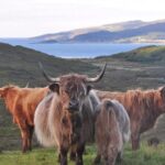 Edinburgh: 2-Day Loch Ness, Glencoe & Highlands Tour - The Famous Film Locations of Glencoe