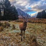 Edinburgh: 3-Day Isle of Skye & Highlands Guided Tour - Starting Point and Tour Logistics in Edinburgh