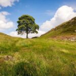 Edinburgh: Hadrian's Wall & Scottish Borders Day Trip - Journey along Roman Dere Street to the Scottish Borders