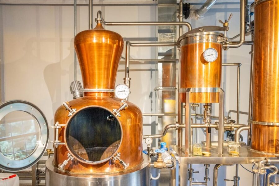 Edinburgh: Holyrood Distillery Whisky & Gin Tour - Exploring the Spirits Lab and Gin Distillery