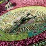 Edinburgh Old Town Hidden Gems Private Walking Tour - Walking Through the Royal Mile and its Highlights