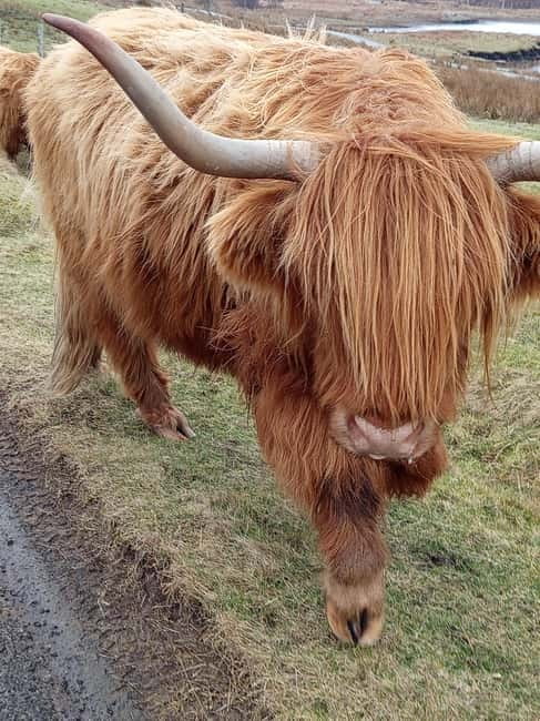 Edinburgh: Stirling, Highlands, Loch Ness, Mull 5-Day Tour - Loch Ness and Fort William: Legends and Natural Wonders