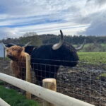 Edinburgh: The Kelpies, Loch Lomond & Trossachs Day Trip - The Kelpies: Scotland’s Engineering and Mythical Icons