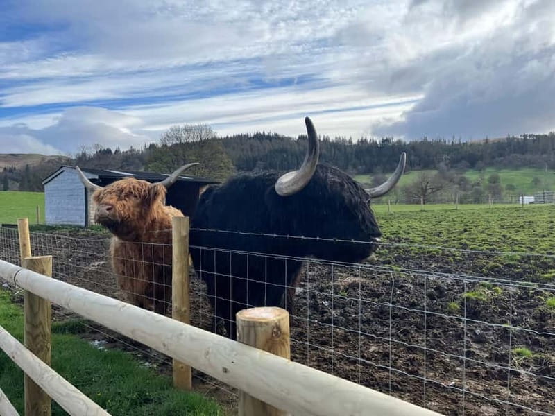 Edinburgh: The Kelpies, Loch Lomond & Trossachs Day Trip - The Kelpies: Scotland’s Engineering and Mythical Icons