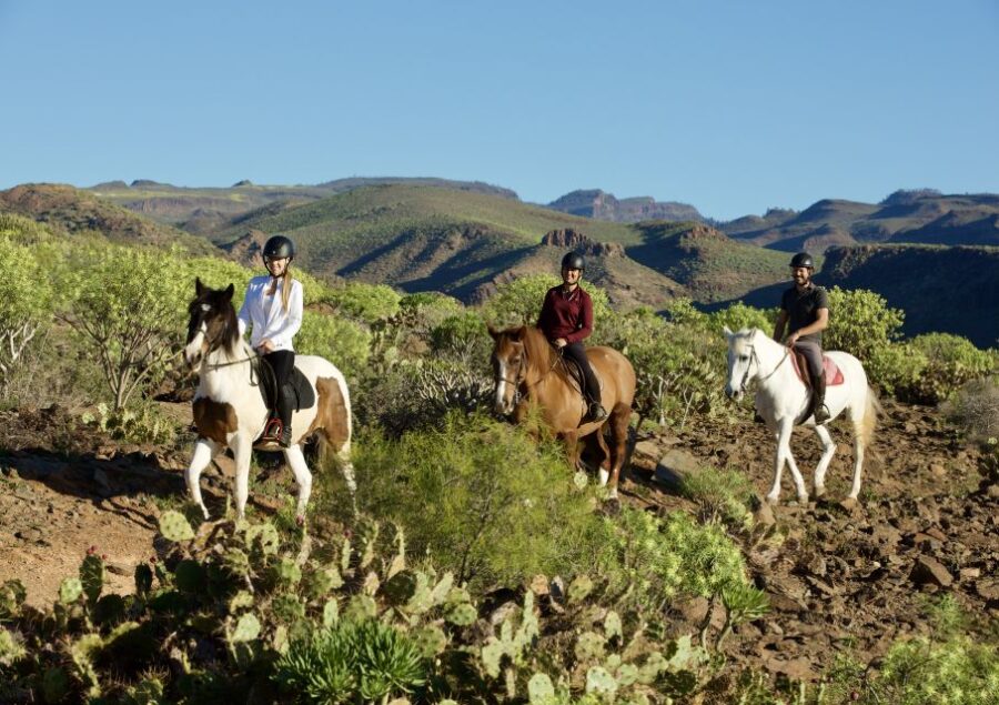 El Salobre: Horse Riding Adventure with Transfer Options - Discovering Gran Canaria’s Volcanoes on Horseback