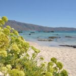 Elafonissi Beach Crete Day Trip - Wade to Elafonis Island and Extra Activities
