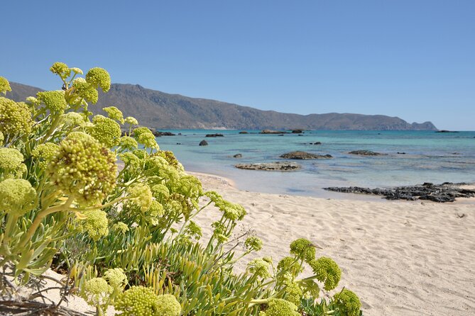 Elafonissi Beach Crete Day Trip - Wade to Elafonis Island and Extra Activities