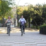 Electric Bike Rental 3 hours - Support and Service During Your Ride