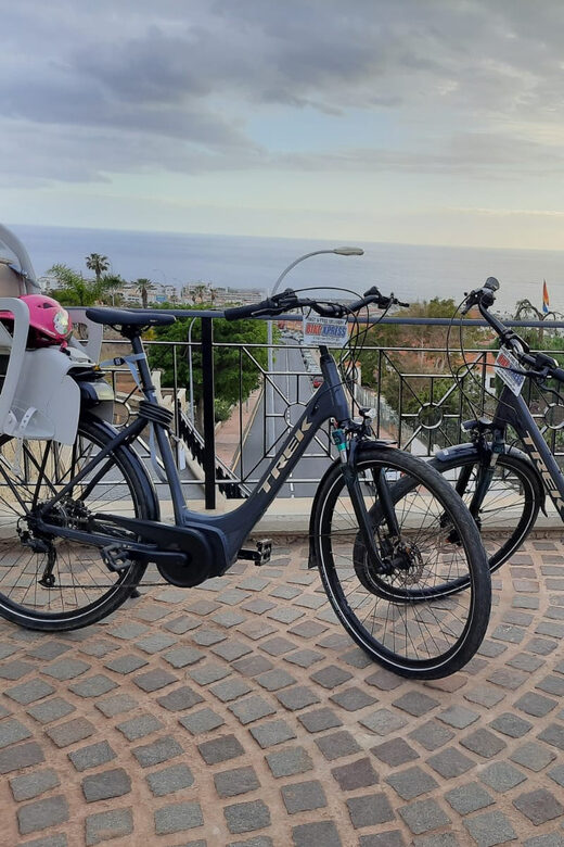 Electric City Bike Rental with Hotel Delivery - How the Delivery Service Works and What to Expect
