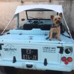 Electric Mehari Ride & Discovery of the Villa Ephrussi de Rothschild - Visiting the Villa Ephrussi de Rothschild and Its Gardens