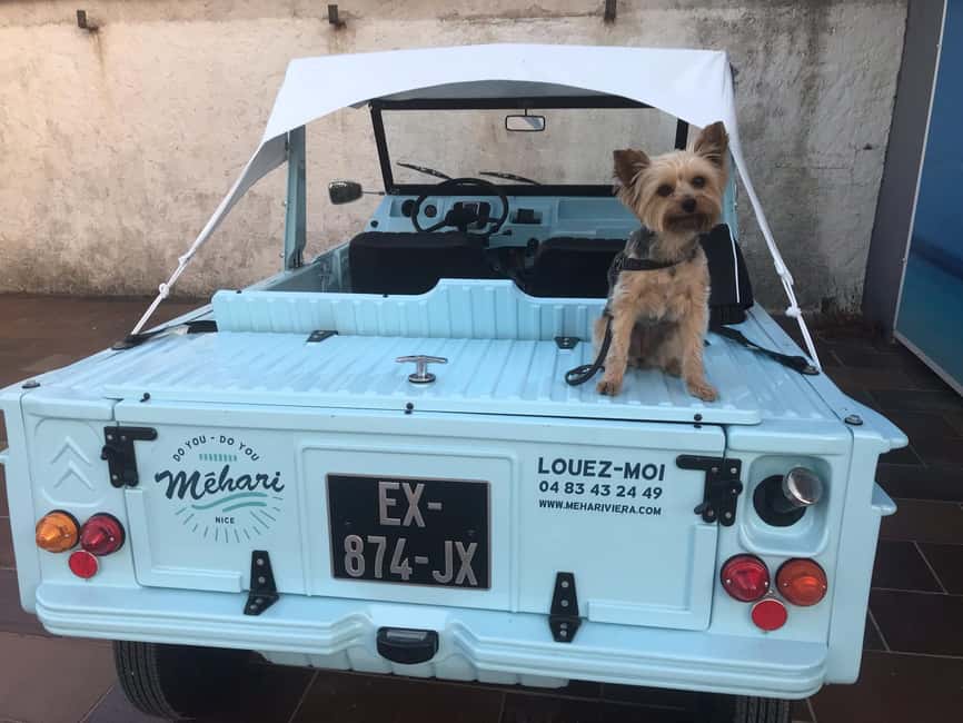 Electric Mehari Ride & Discovery of the Villa Ephrussi de Rothschild - Visiting the Villa Ephrussi de Rothschild and Its Gardens