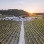 Electric Scooter Tour of Château l'Hospitalet estate - Exploring the Vineyard on an Electric Bike