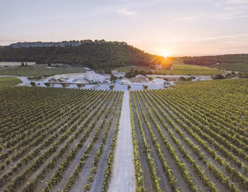 Electric Scooter Tour of Château l'Hospitalet estate - Exploring the Vineyard on an Electric Bike
