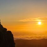 Set out on a Luxurious Private Journey: Unveiling the Madeira Best - Touching the Lush Laurisilva Forest