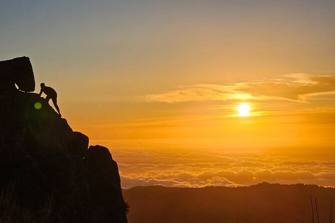 Set out on a Luxurious Private Journey: Unveiling the Madeira Best - Touching the Lush Laurisilva Forest