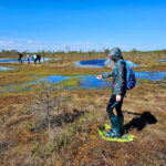 emeri Bogs Adventure: Explore Wetlands In Bog Shoes - Exploring Kemeri National Park’s Boglands on Bog Shoes