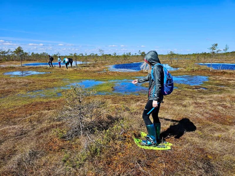 emeri Bogs Adventure: Explore Wetlands In Bog Shoes - Exploring Kemeri National Park’s Boglands on Bog Shoes