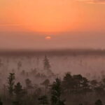 emeri Great Bog With Optional Sunrise & Jrmala Visit - Kemeri National Park Guided Walk