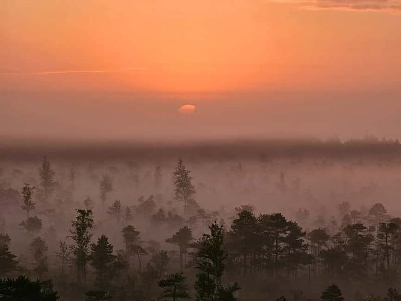 emeri Great Bog With Optional Sunrise & Jrmala Visit - Kemeri National Park Guided Walk