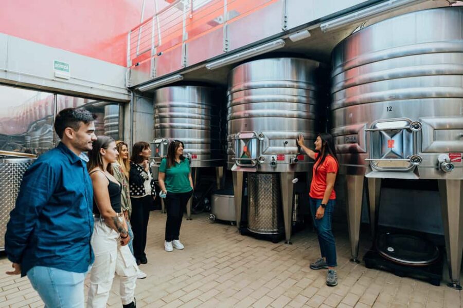 Empordà: Clos d'Agon wine tour and tasting on the Costa Brava - Tour of the Winery Facilities