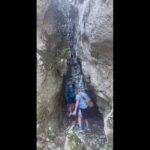 Enchanted Forest Hike and Wine Tasting Private Tour - Korcula’s Enchanted Forest: A Natural Treasure