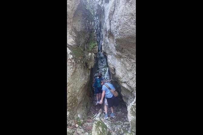 Enchanted Forest Hike and Wine Tasting Private Tour - Korcula’s Enchanted Forest: A Natural Treasure