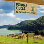English Tour to Salted Mine Slanic Prahova & Paltinu Lake - Flexible Embarkation Points for Your Convenience