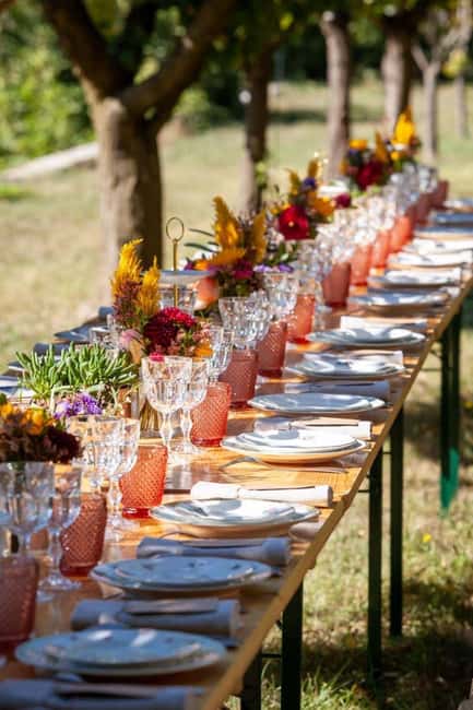 Enjoy a countryside meal and champagne tasting in the Côte des Bar! - Discover the Vineyard Setting in Côte des Bar