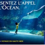 Entrance Ticket Nausicaa, the biggest aquarium in Europe - How to Make the Most of Your Visit at Nausicaá