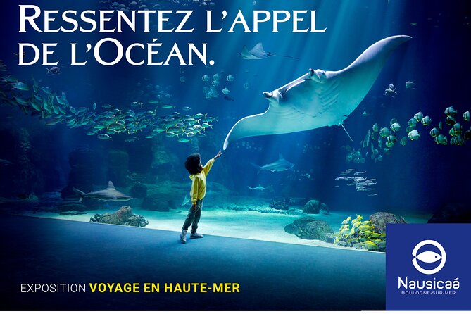 Entrance Ticket Nausicaa, the biggest aquarium in Europe - How to Make the Most of Your Visit at Nausicaá