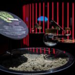 Entrance ticket with tasting at Casa Martini - Discover Casa Martinis Historic Roots in Turin