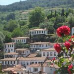 Ephesus and Sirince Tour from Izmir / Kusadasi - Departing from Izmir or Kusadasi for a Cultural Journey