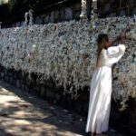 Ephesus and Virgin Mary Day Trip by Plane from Istanbul - From the Early Morning Hotel Pick-Up to the Flight