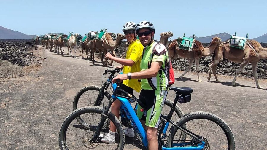 Epic E-Bike Tour: From North to South, Discover Lanzarote Like Never Before - La Geria: The Unique Volcanic Wine Region